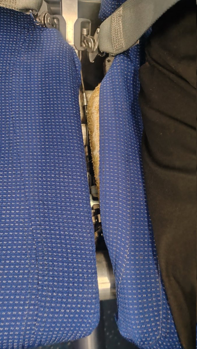kishorevell's tweet photo. @IndiGo6E --> Any explanation for these kinda torn seats in your flight 6E-6307 ?? Similar seats were found in flight 6E-193 https://t.co/8xSNmS4FLW
