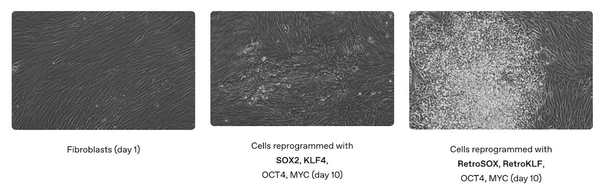 Boris Power (@borismpower) on Twitter photo At <a href="/OpenAI/">OpenAI</a>, we believe that AI can accelerate science and drug discovery. An exciting example is our work with @RetroBiosciences, where a custom model designed improved variants of the Nobel-prize winning Yamanaka proteins. Today we published a closer look at the breakthrough. β¬οΈ At <a href="/OpenAI/">OpenAI</a>, we believe that AI can accelerate science and drug discovery. An exciting example is our work with @RetroBiosciences, where a custom model designed improved variants of the Nobel-prize winning Yamanaka proteins. Today we published a closer look at the breakthrough. β¬οΈ
