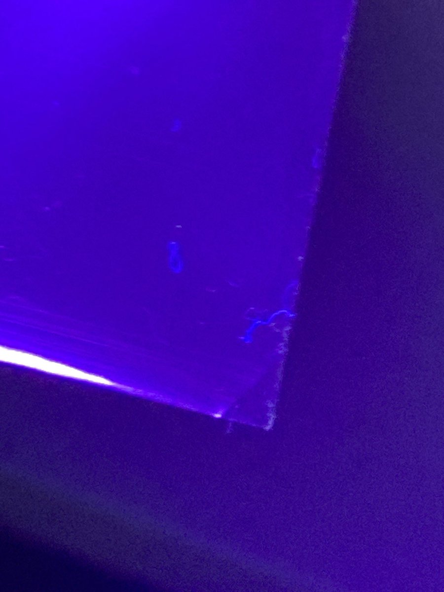 <a href="/Galaxy_sakuraba/">ミルフィーユ桜葉</a> ブラックライトでの検品は、個人的には微妙なんじゃないかな…と思ってます。

①ライトで光らない素材でインクドされている場合は見抜けない

②インクド以外に、ホコリでも光るので紛らわしい

③恐らく、ライトでわかるレベルのインクドなら顕微鏡でわかる（肉眼で発見できるサイズなので）