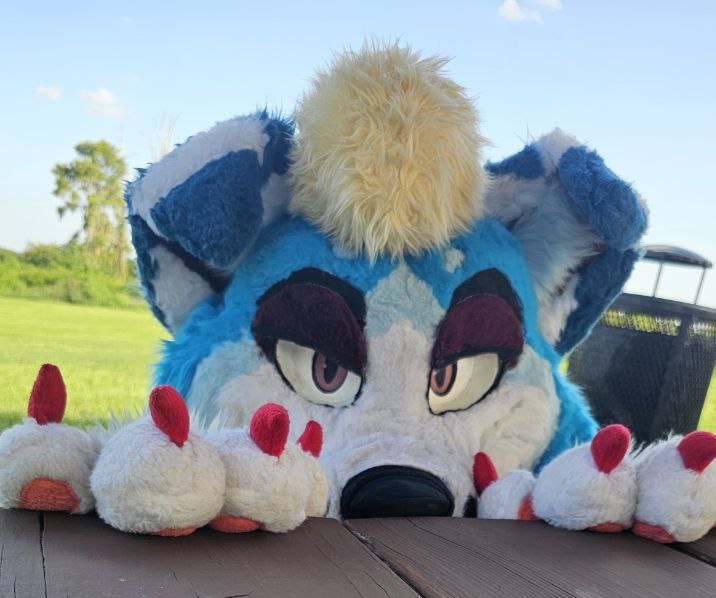 Zapp FoxCollie 🔜 AC & MP tweet media