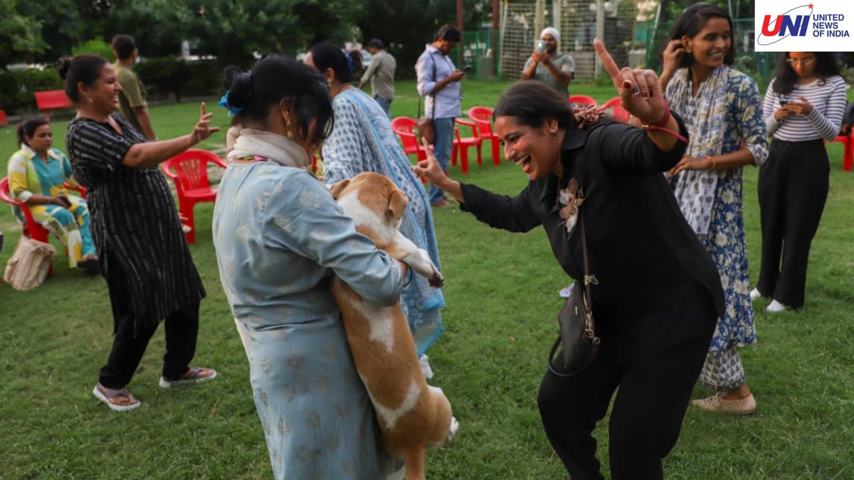 #InPhotos | Joyful scenes in Lucknow as animal lovers celebrated the Supreme Court’s decision on street dogs with cake, and sweets. 

(📸: Sumit Kumar / UNI)

#Lucknow | #SupremeCourt | #StrayDogs | #UttarPradesh