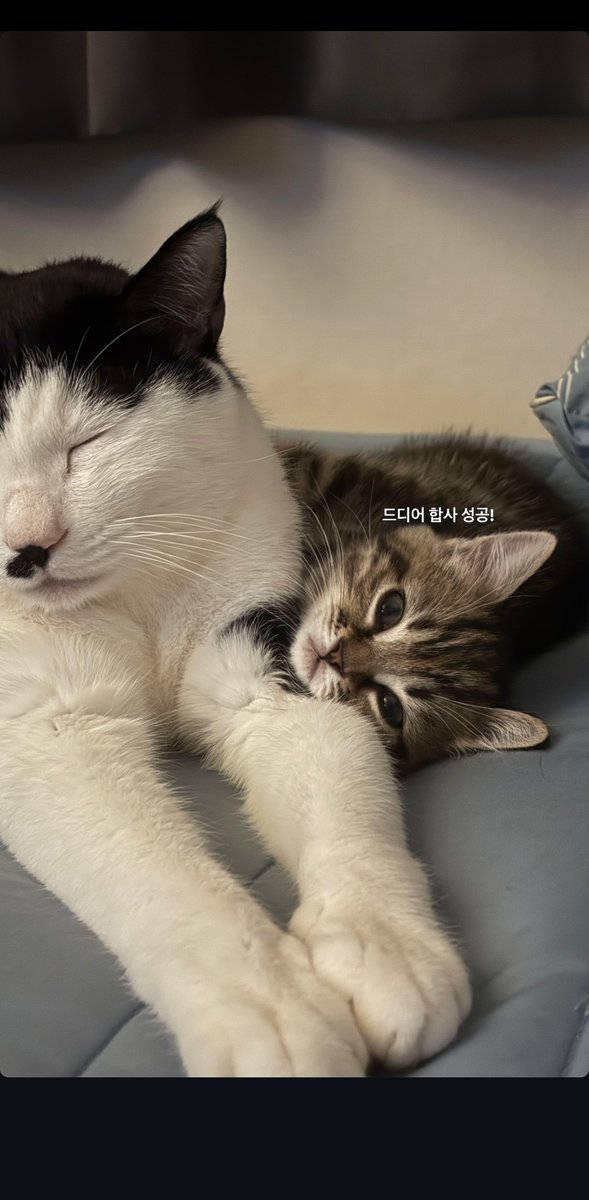 20230119jsh's tweet photo. 오랜만에 본 조카 갑자기 커있어서 깜짝놀란 고모가되 https://t.co/UEze4qKwRJ