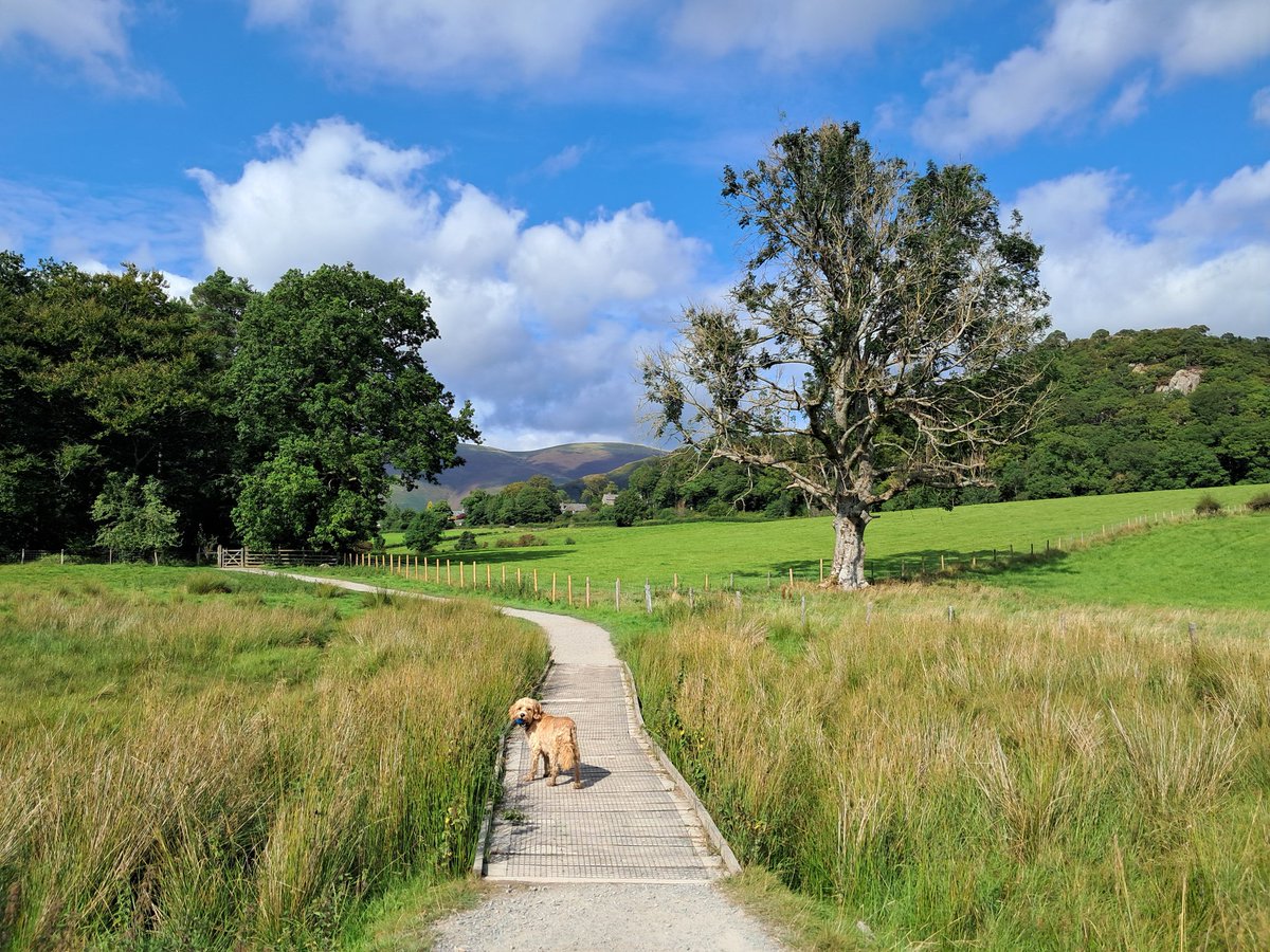 Beautiful weather to start the #BankHoliday Weekend 🌞 💙 😎

#Derwentwater #Keswick #LakeDistrict #selfcateringaccommodation