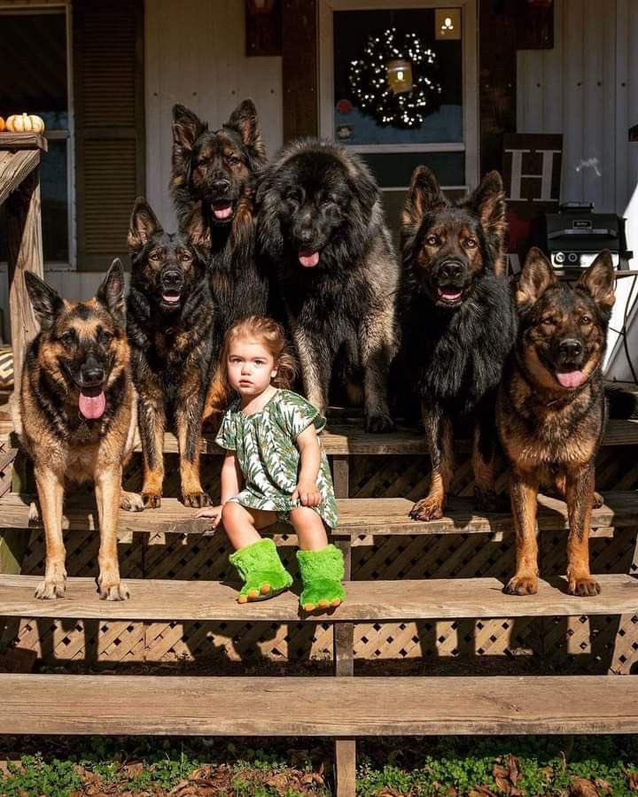 Drop one word for any intruder who dares come near this little girl