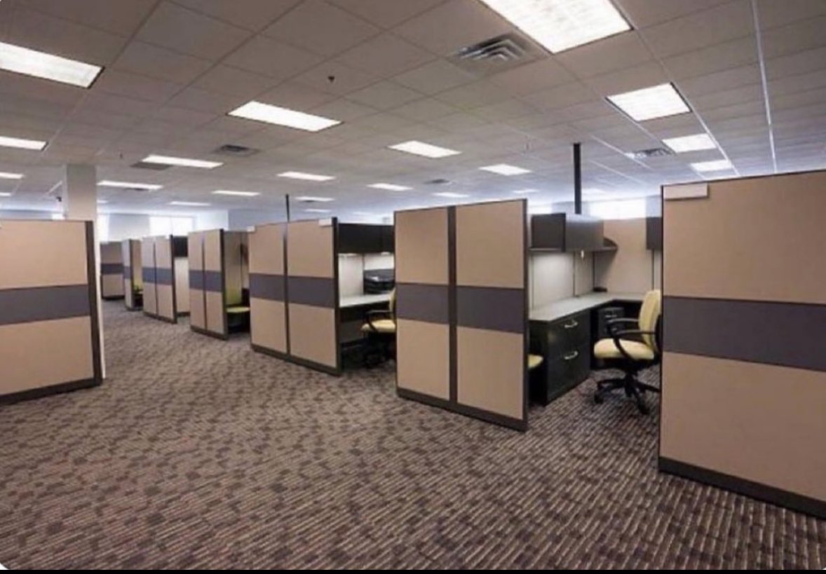 Sir Pickle tweet media