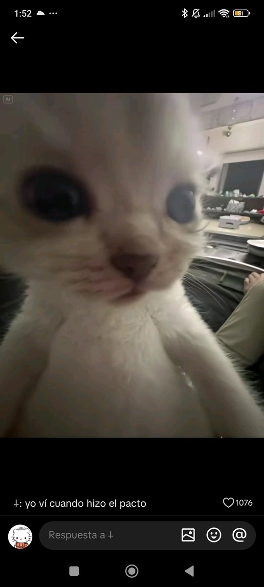 Ligas de Rt o Paga para un equipo que regresa? De Clash Royale por favor
Busco capitanas o capitanes