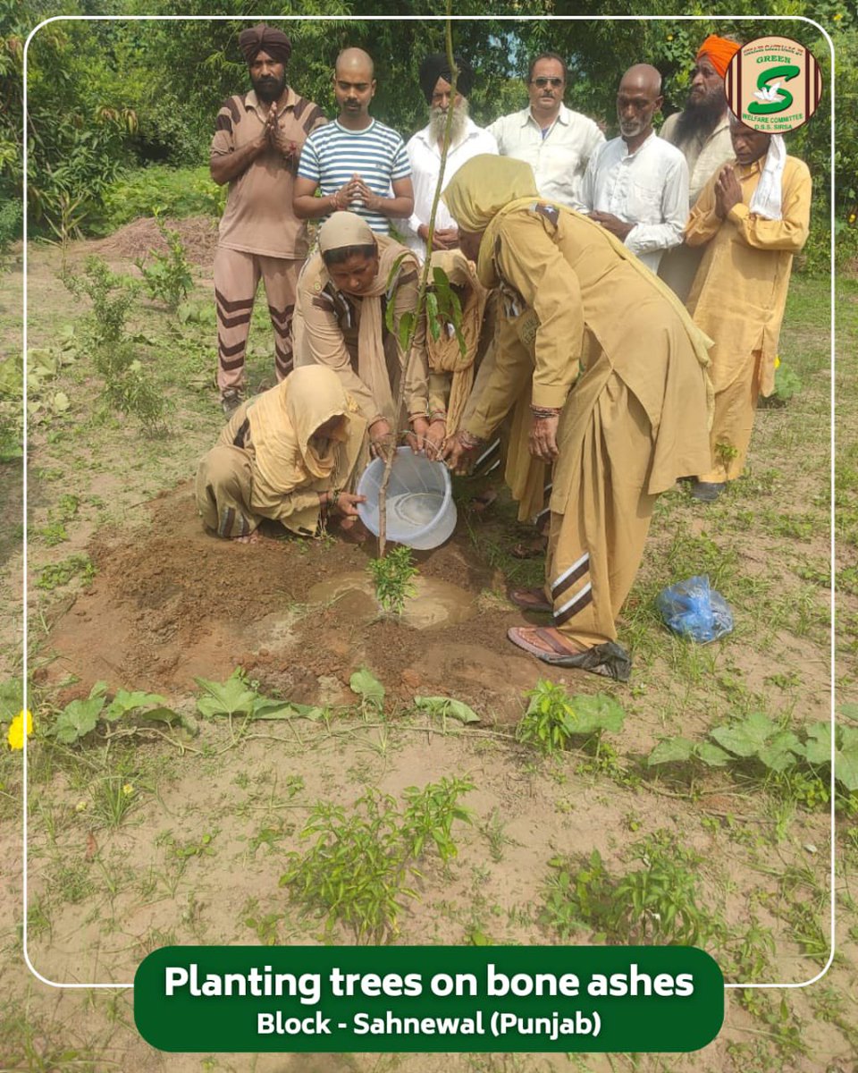 GreenSwelfares's tweet photo. When memories are sown in soil, they blossom into life-giving trees for generations.
In a heartfelt gesture, a family from Block Sahnewal (Punjab) planted a tree on the bone ashes of their loved one, following the noble teachings of Saint Dr. MSG Insan. This touching act transforms grief into greenery, honoring the departed soul while also nurturing the environment. A true example of how love can continue to grow, even beyond life.

#TreeOnAshes #InLovingMemory #MemorialTree