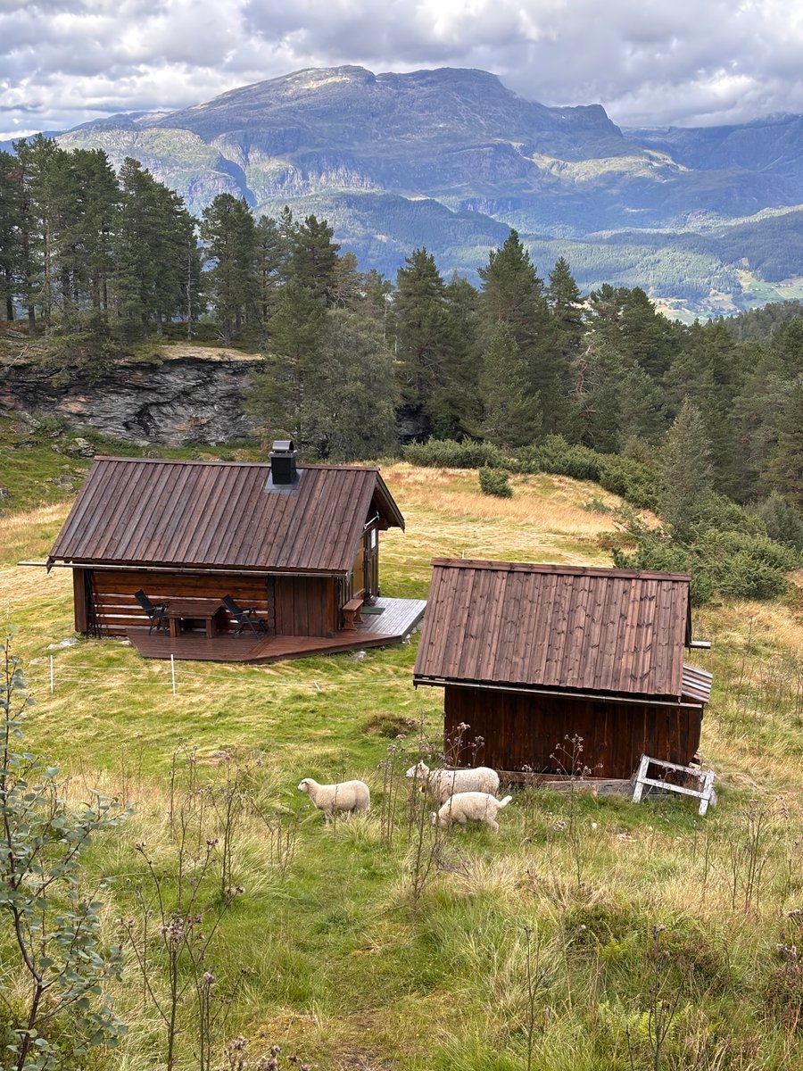 Dmytro Krasun tweet media