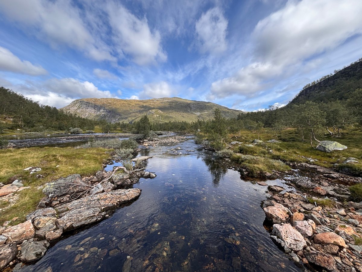 Dmytro Krasun tweet media