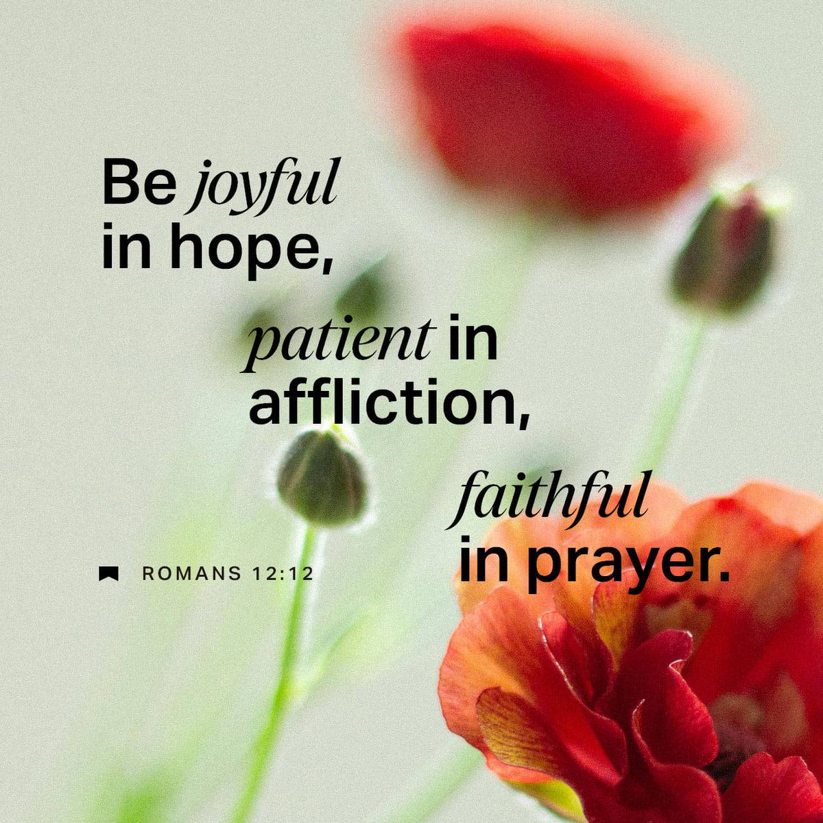 david9c8b6's tweet image. bible.com/verse-of-the-d…