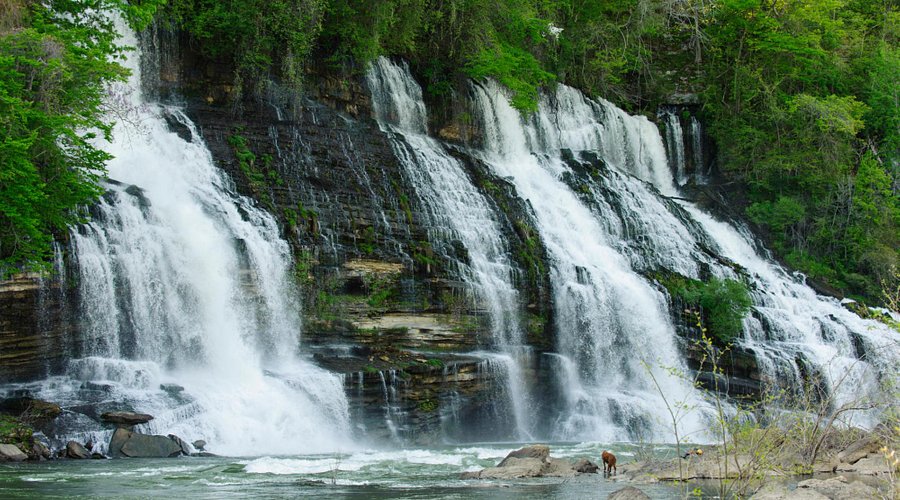 Hyeland Project 🇦🇲-🇺🇸 tweet media