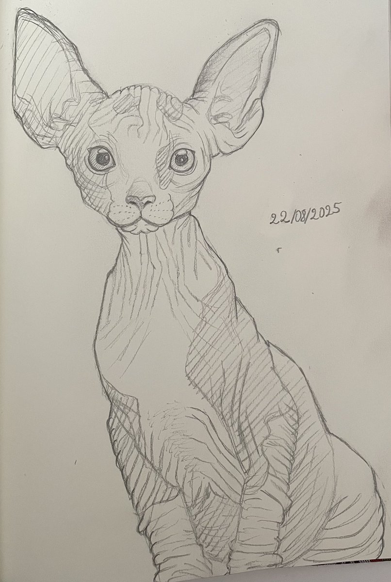 Mom requested kitty cats 🐱🌸❤️