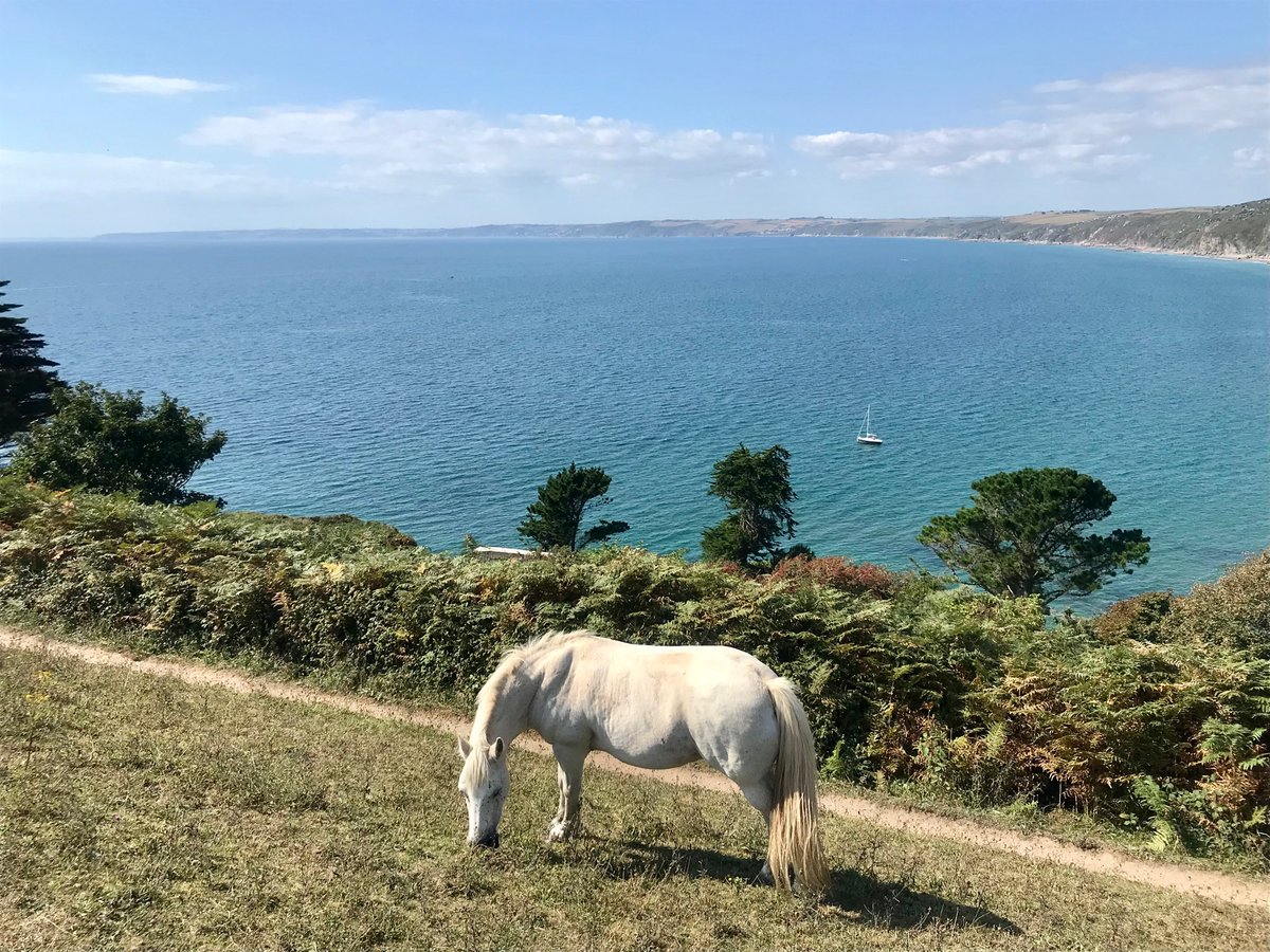 BethanySkinnard's tweet photo. I think this horse has a pretty good life!

#SWCoastPath to #Rame chapel #SaltPath 

#walking #nature #horses #cornwall https://t.co/Rh1npRHd7C