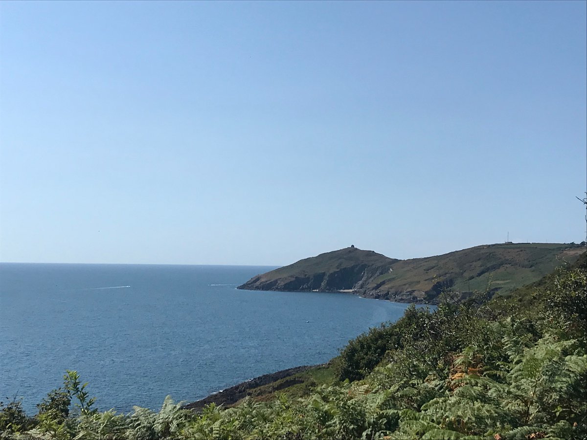 BethanySkinnard's tweet photo. I think this horse has a pretty good life!

#SWCoastPath to #Rame chapel #SaltPath 

#walking #nature #horses #cornwall https://t.co/Rh1npRHd7C