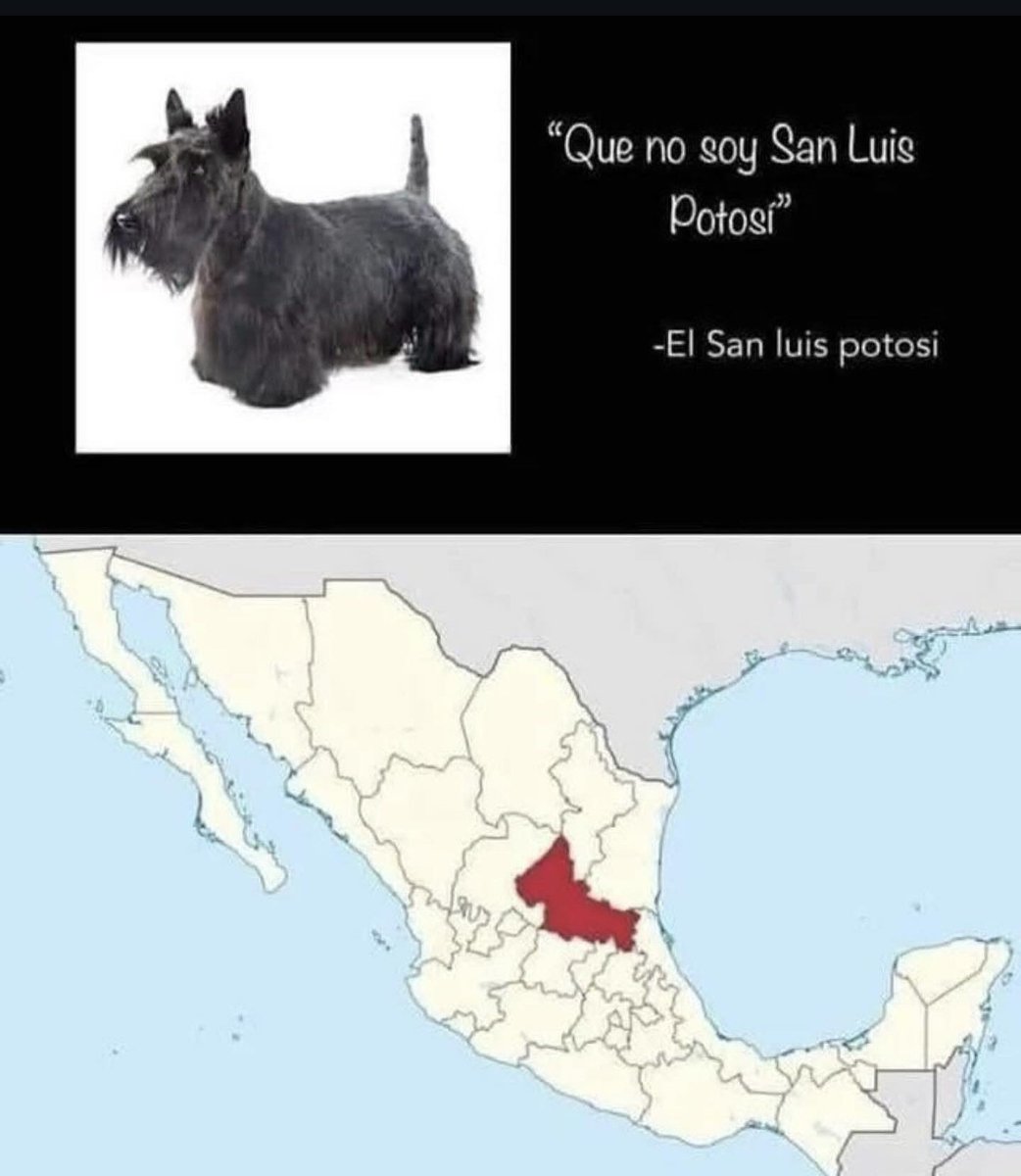 🇲🇽 México Mágico ✨ (@enmexicomagico) on Twitter photo 