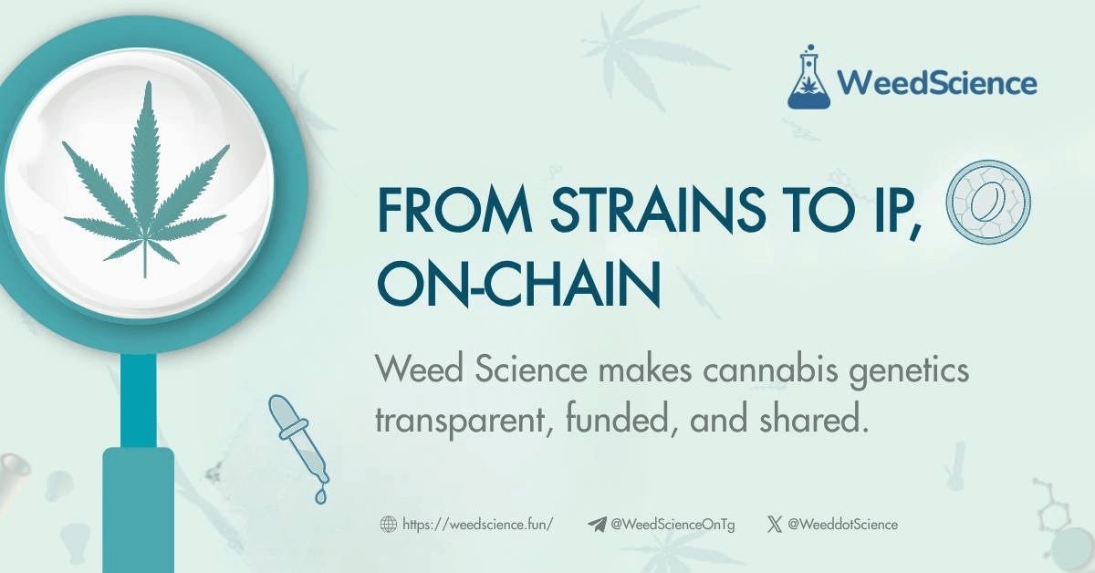 andrewwwww (✍️,🧵) (@andrewtalksdefi) on Twitter photo 🌱 Weed Science is here.
The first project where the community helps fund, own & benefit from real cannabis strains.
Here's how it works:
<a href="/WeeddotScience/">Weed Science</a> combines DeSci and RWA principles to make cannabis breeding and ownership accessible to the community.
No big corporations 🌱 Weed Science is here.
The first project where the community helps fund, own & benefit from real cannabis strains.
Here's how it works:
<a href="/WeeddotScience/">Weed Science</a> combines DeSci and RWA principles to make cannabis breeding and ownership accessible to the community.
No big corporations