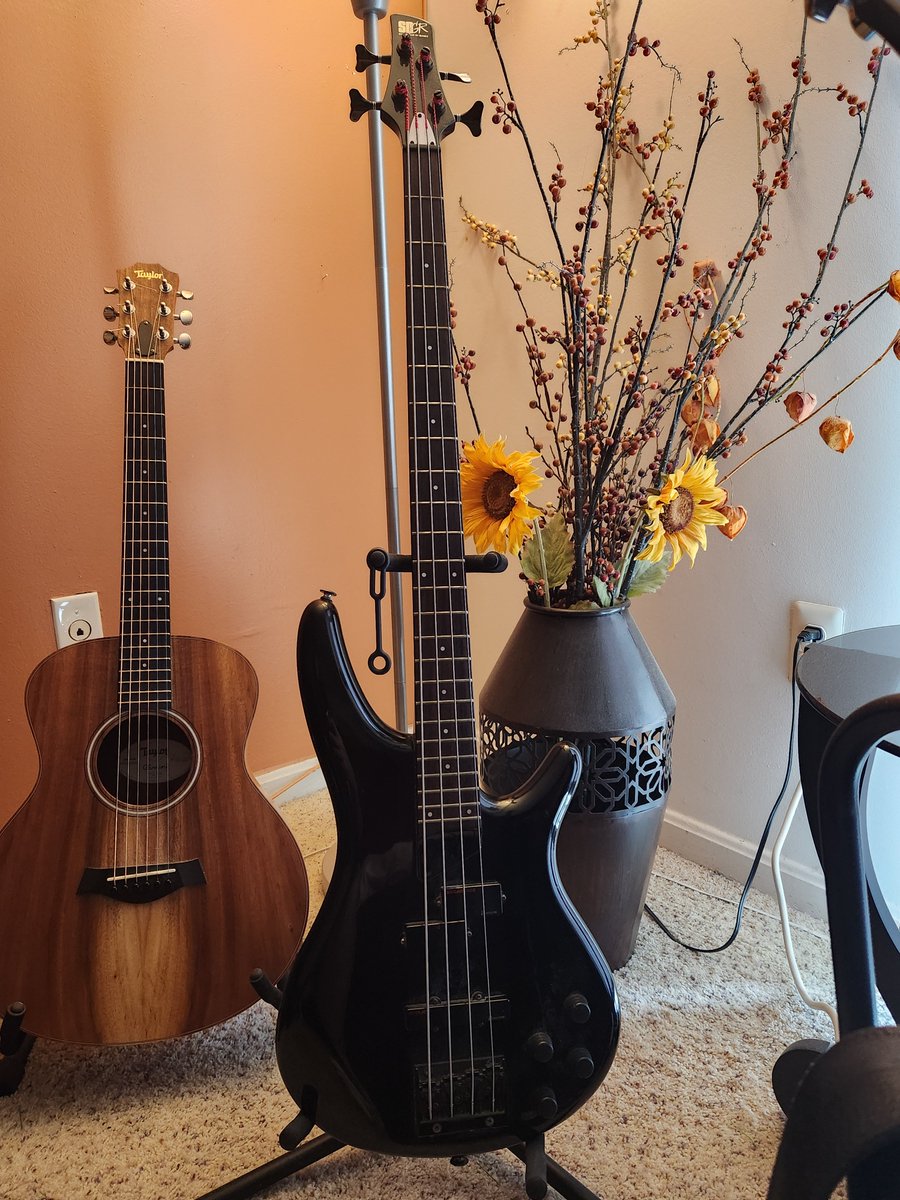 Ibanez (Serial: F751912)
F = Fujigen Factory (Matsumoto, Nagano, Japan — same legendary shop behind Fender Japan in the ’80s).
7 = 1987 (first year the Soundgear line launched).
51912 = 51,912th instrument stamped out of Fujigen in ’87.
#japan #ibanez #classic