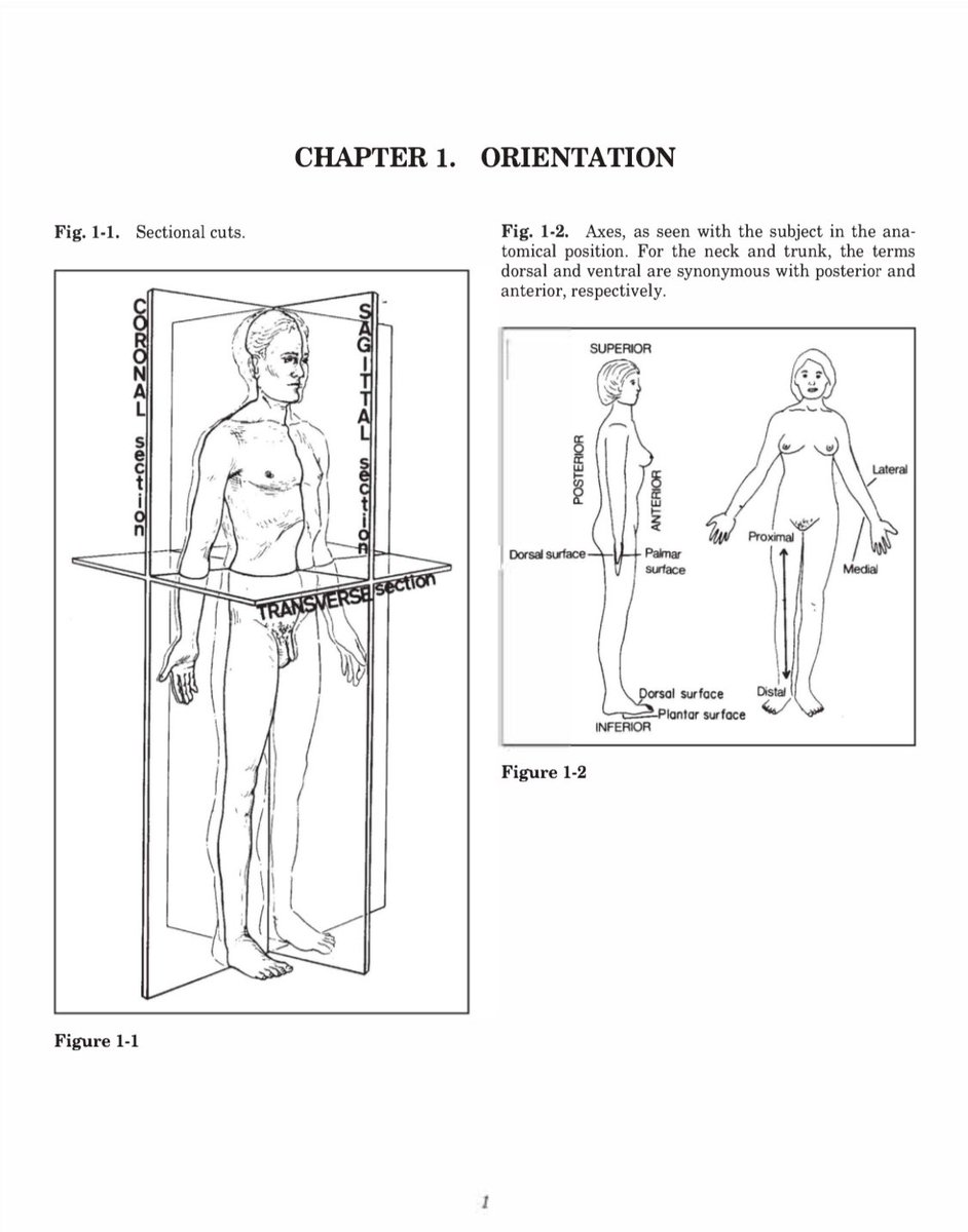 herpdfs's tweet photo. Clinical Anatomy Made Simple✨

🏷️ ₱20

✅ Downloadable and Printable 
✅ Lifetime Access on Gdrive

t. lf pdf medtech anaphy physiology anatomy biochem microbio hema made simple mtle rmt medical technologist ebook studytwt 2025 ph https://t.co/Bw6vh7nRrc