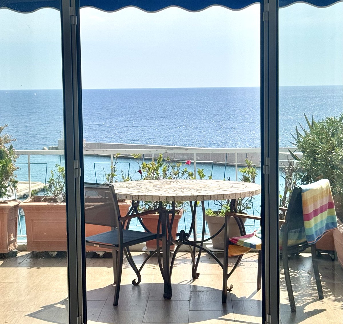 Jungle Rock tweet media