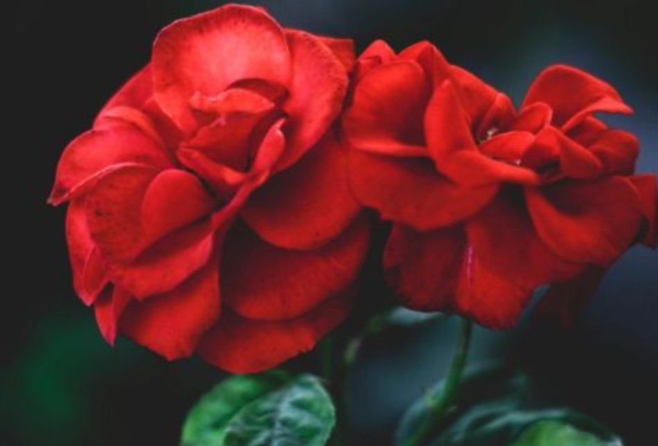 Hybrid working is becoming a lasting part of the industry. ILSPA Partner TotallyLegal's article explores insights from the 2025 TotallyLegal Salary Survey, highlighting how flexible arrangements are reshaping law firm culture. totallylegal.com/article/hybrid…