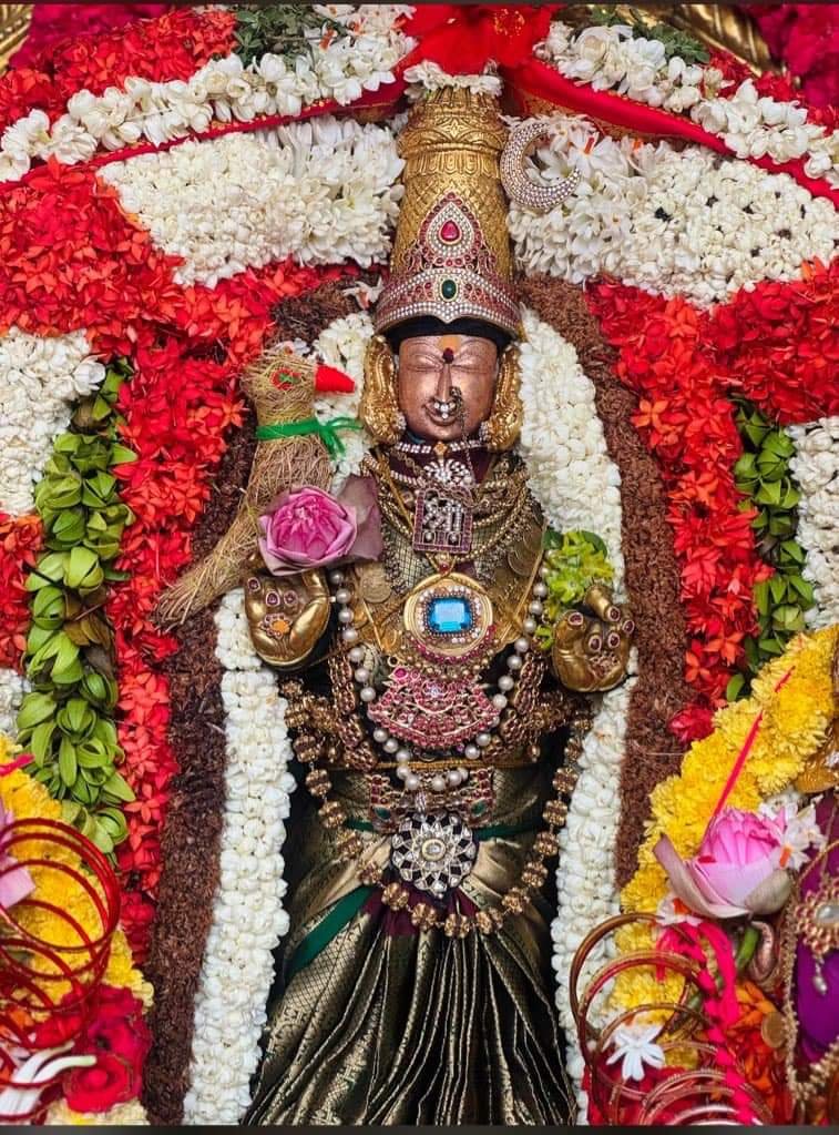 Kanchi Sri Kamakshi Amman Deepavali Alankaram