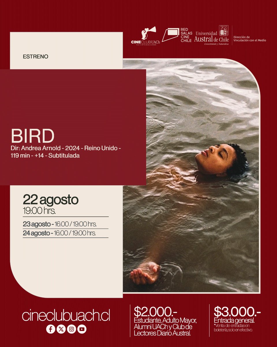 Un cine foro con Sebastián Lelio en el preestreno de “La ola” y la exhibición de “Bird” son los destacados de la semana en el Cine Club UACh - mailchi.mp/4c5b8e6c62f5/u…