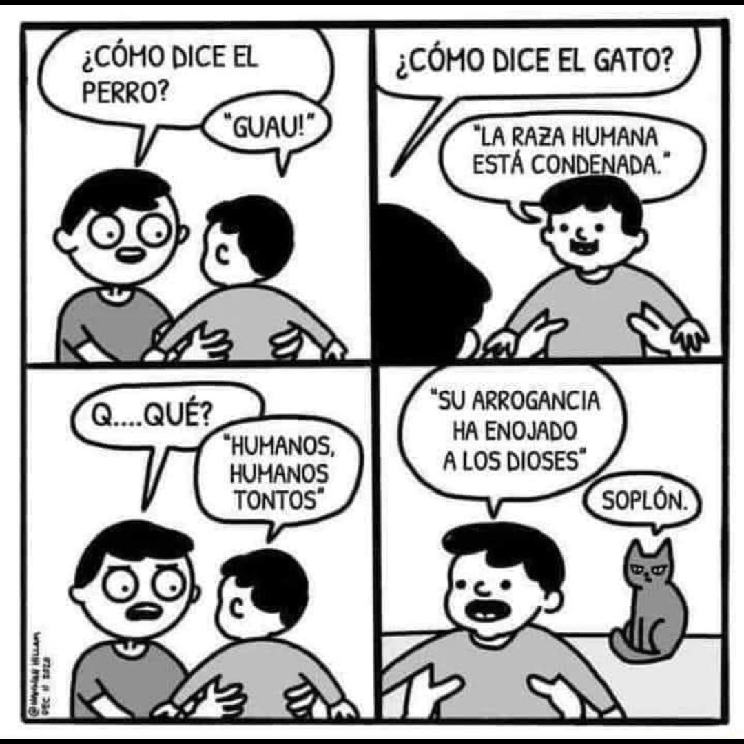 Ana_LaPatata tweet media