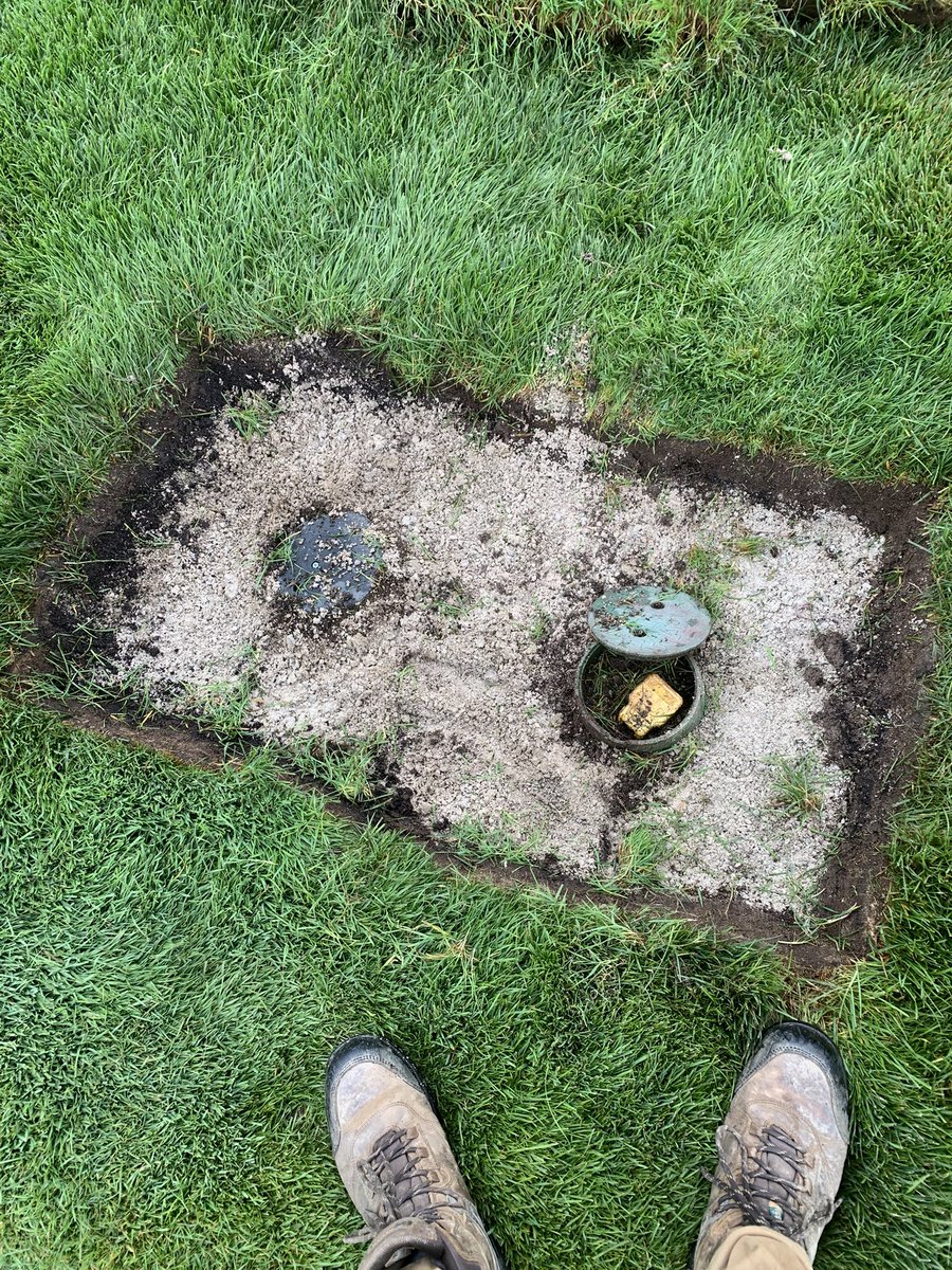 Connor Dickson tweet media