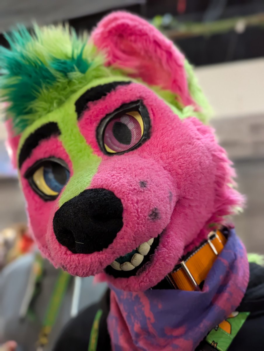 Have a good #FursuitFriday