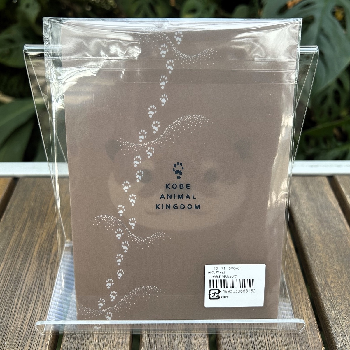 「A6クリアファイル　コツメカワウソface」をご紹介します！

ポストカードを入れるのに便利なA6サイズのクリアファイル！
前はカワウソの顔、後ろにはカワウソの足跡がありとっても可愛い❤
シンプルながらも存在感のあるデザインで、使うたびに癒やされます😊
kobe-oukoku-raku-uru.com/item-detail/17…