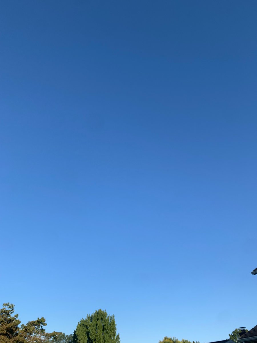 Beautiful 🔵 and ⚪️ skies this morning to welcome the Class of 2029! 🦁