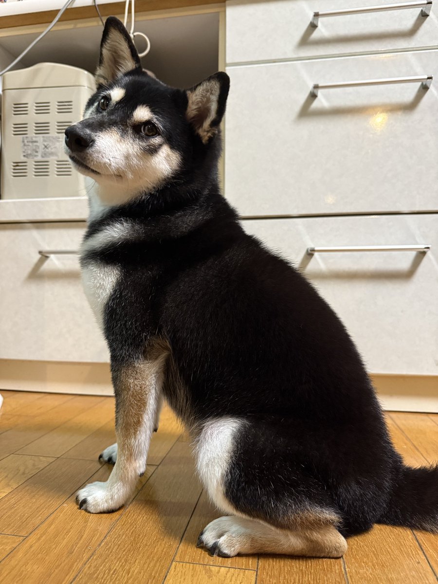 umechaduke_'s tweet photo. 実家に帰省 https://t.co/hsQ5yh3HQH