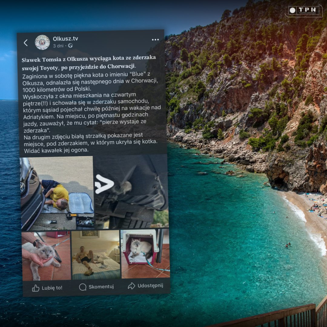 🌐 ᴛʜᴇᴘᴏʟᴀɴᴅɴᴇᴡs 🌐 tweet media