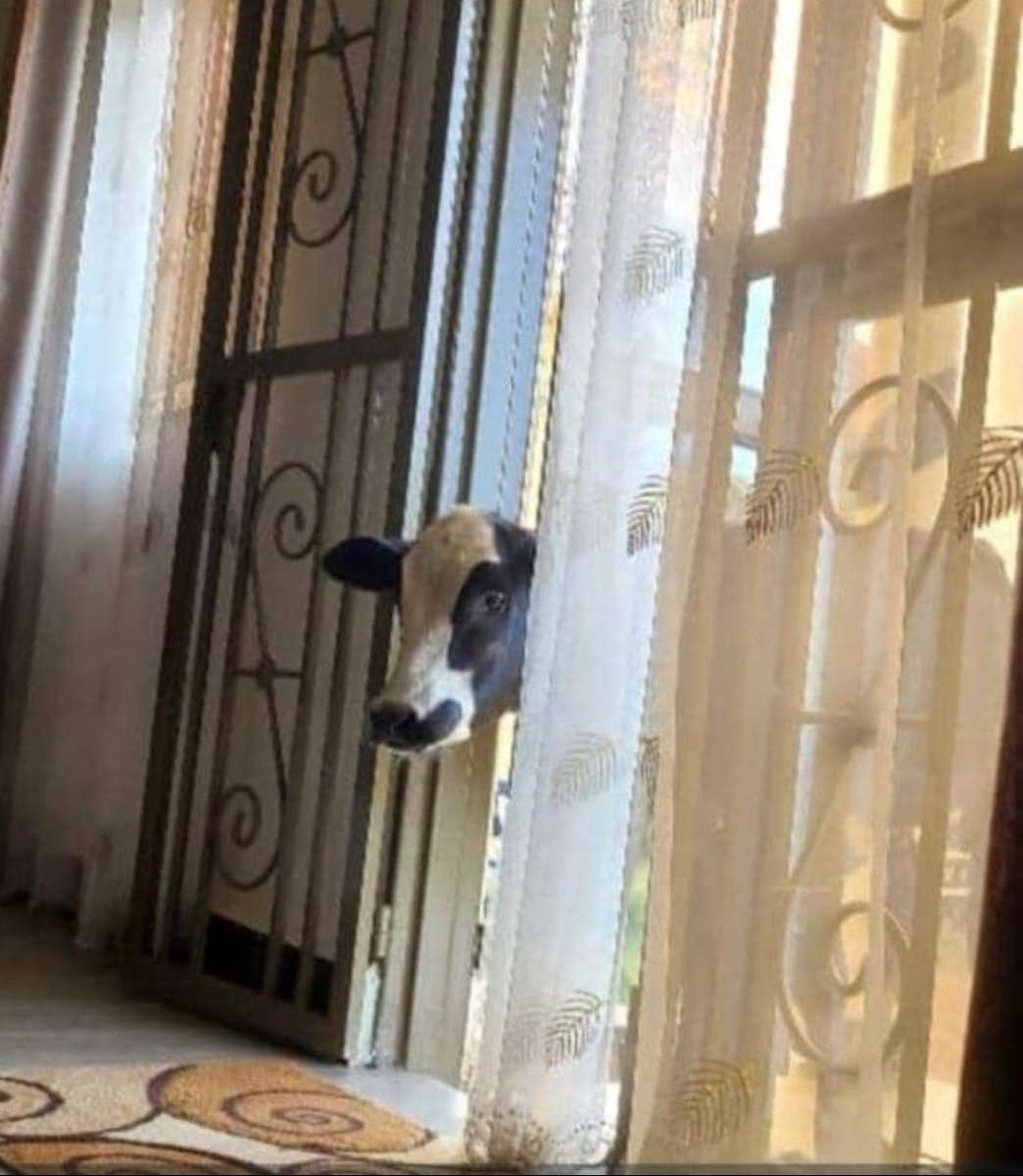 It was like "beishi erizooba tihariho kukama tusetukye" 🤣🤣