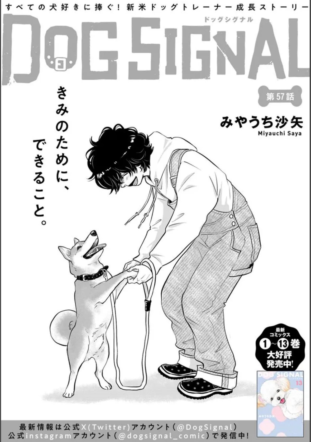 DOG SIGNAL　1〜10巻　全巻セット　みやうち沙矢　漫画 Amazon.co.jp: DOG SIGNAL 10 (BRIDGE COMICS) 電子