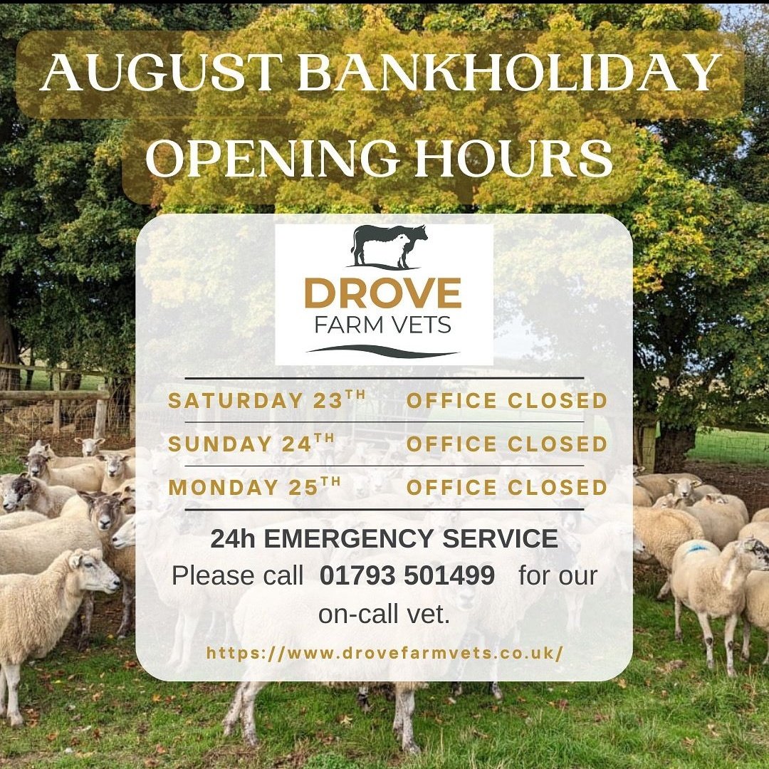 <a href="/DroveFarmVets/">Drove Farm Vets</a> Bank Holiday office opening hours and emergency vet contact details