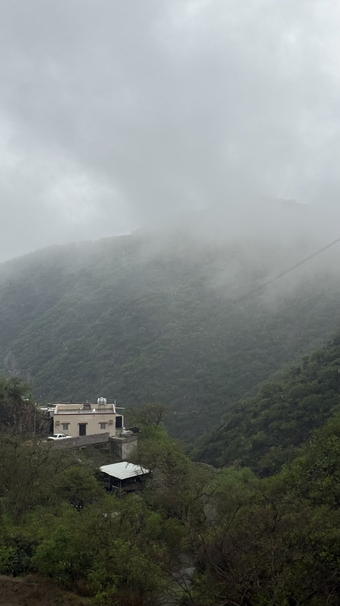 اطلالة بيتي 
رجال ألمع 📍