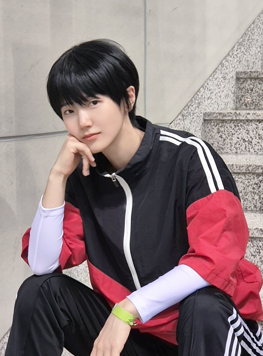 동글동글 너구리