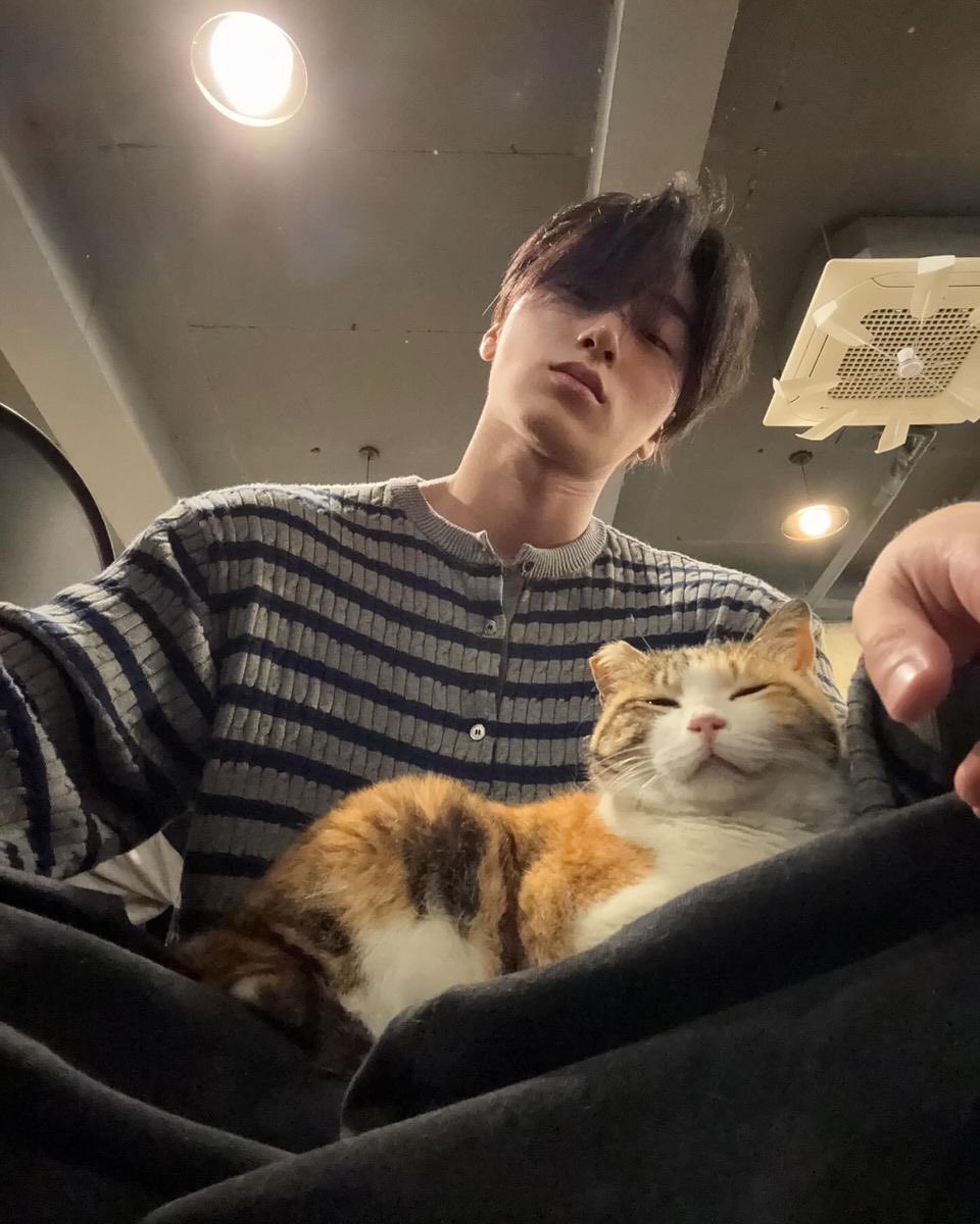 de_shabiller's tweet photo. ㅤㅤ
ねこ
ㅤㅤ https://t.co/0VKppgniqB