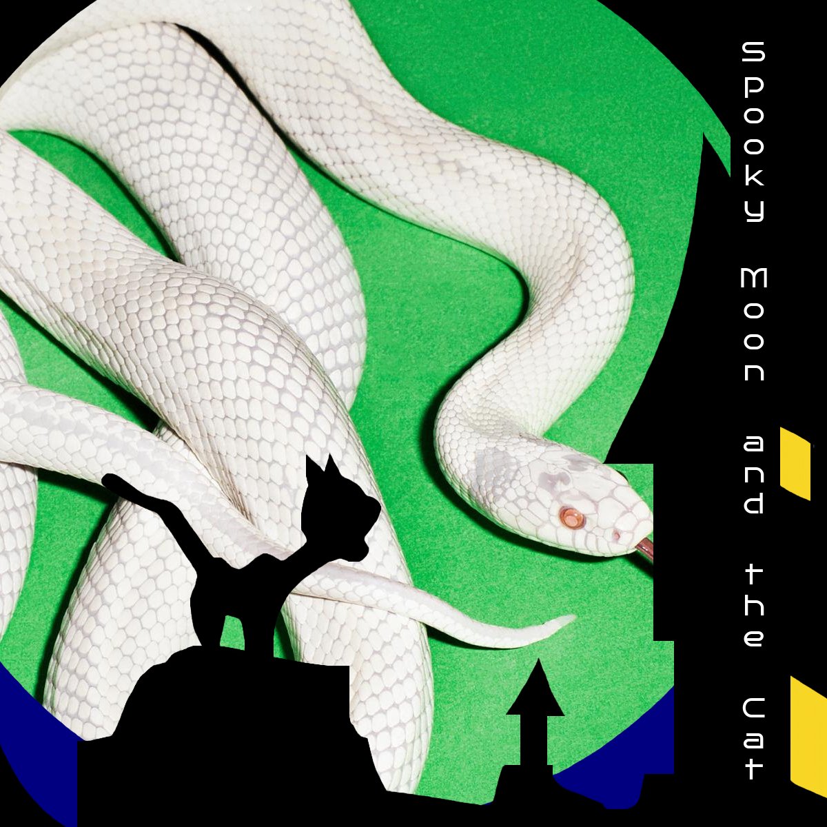 DEFTONES Release Their 10th Studio Album "private music" (<a href="/deftones/">Deftones</a>, <a href="/warnerrecords/">Warner Records</a>)
spookymoonandthecat.blogspot.com/2025/08/defton…