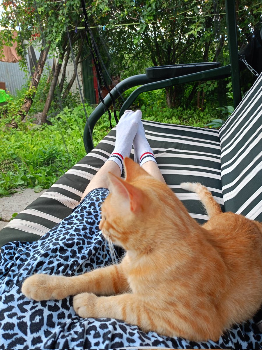 _redjina_'s tweet photo. 🏡📖💁🏽‍♀️🐈 https://t.co/hgtlTp9vQr