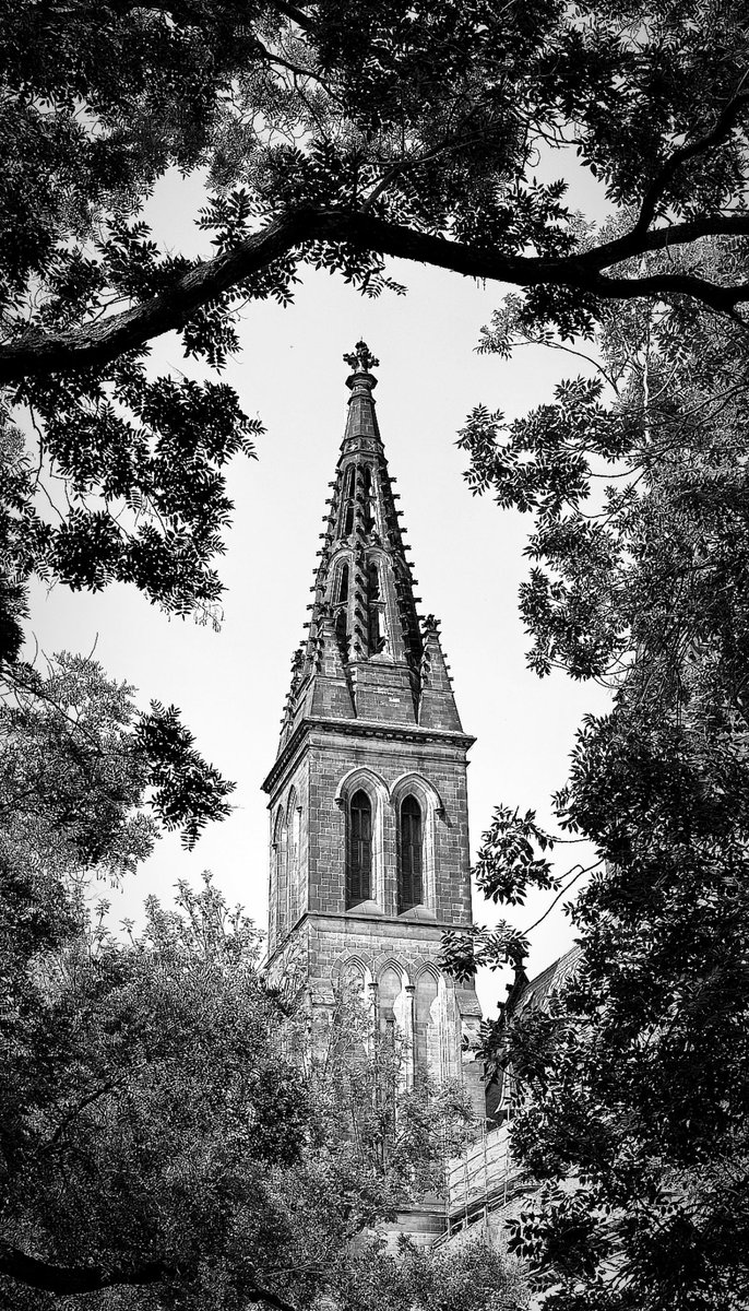 Renuke Samarasinghe tweet media