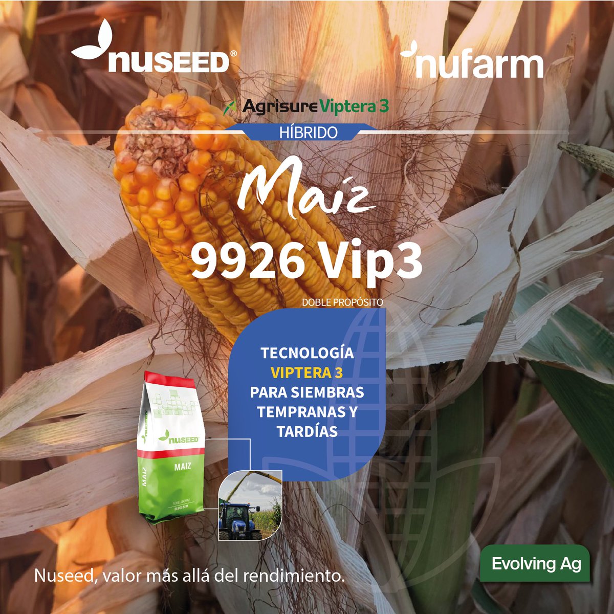 Definición del doble propósito por excelencia, planta alta con mucho grano. Tecnología Viptera 3 para siembras tempranas y tardías.

🌽9926 Vip3