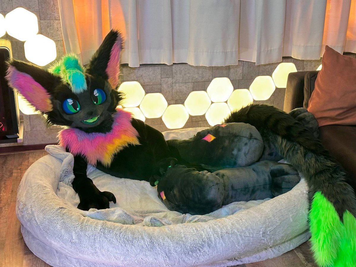 Stripe (@stripe_69_) on Twitter photo I've said it before.. I'll say it again.
Soft doggybed is the prefect place to rest.
Happy #FursuitFriday
📸 <a href="/MaxFilmsVR/">MaxFilmsVR</a> I've said it before.. I'll say it again.
Soft doggybed is the prefect place to rest.
Happy #FursuitFriday
📸 <a href="/MaxFilmsVR/">MaxFilmsVR</a>