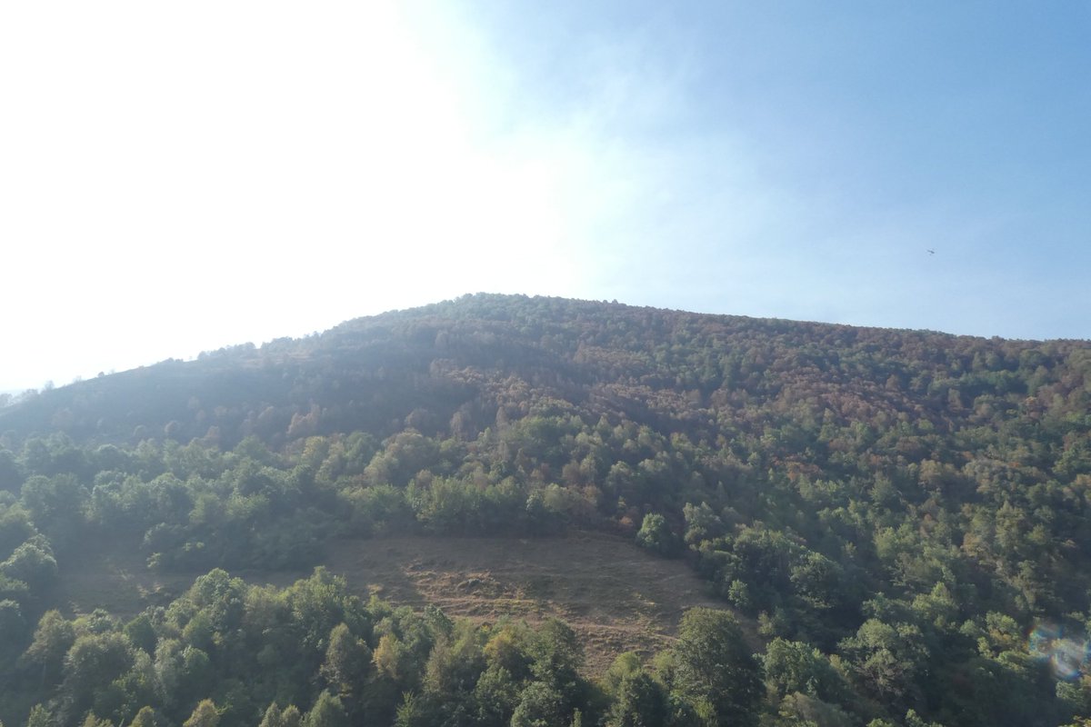 Pablo Perez tweet media