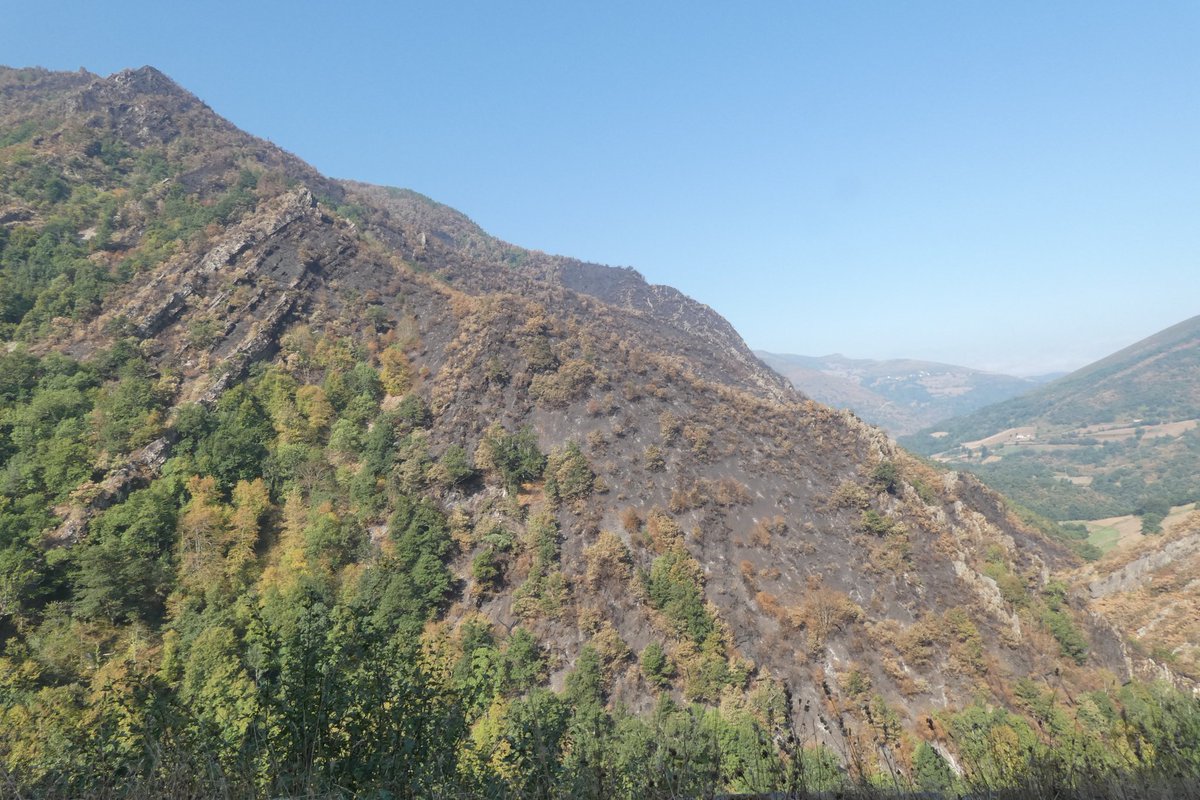 Pablo Perez tweet media