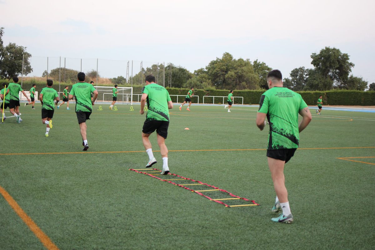Leones de Castilla tweet media