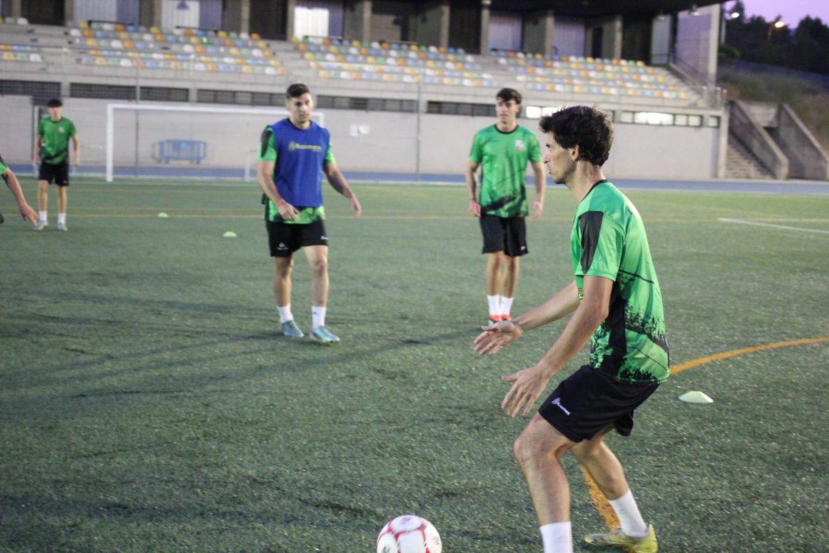 Leones de Castilla tweet media