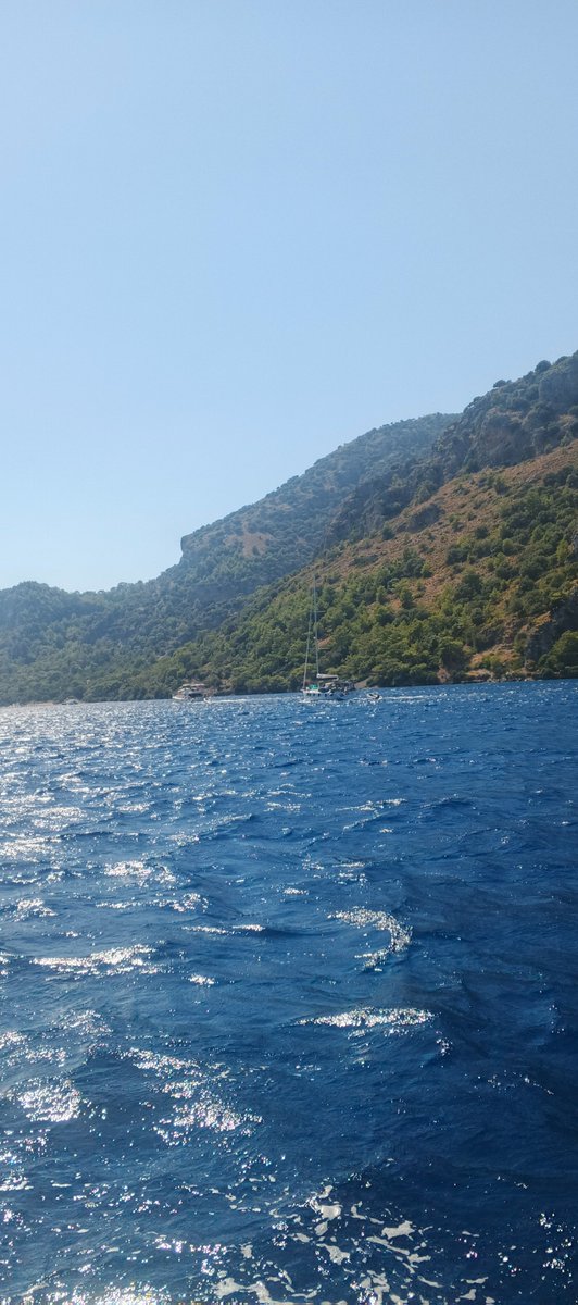 Sporfinans06's tweet image. You don&apos;t even have to be online; just let #TRDZX in.

#fullyautomated
#Bybit 
#Collaboration