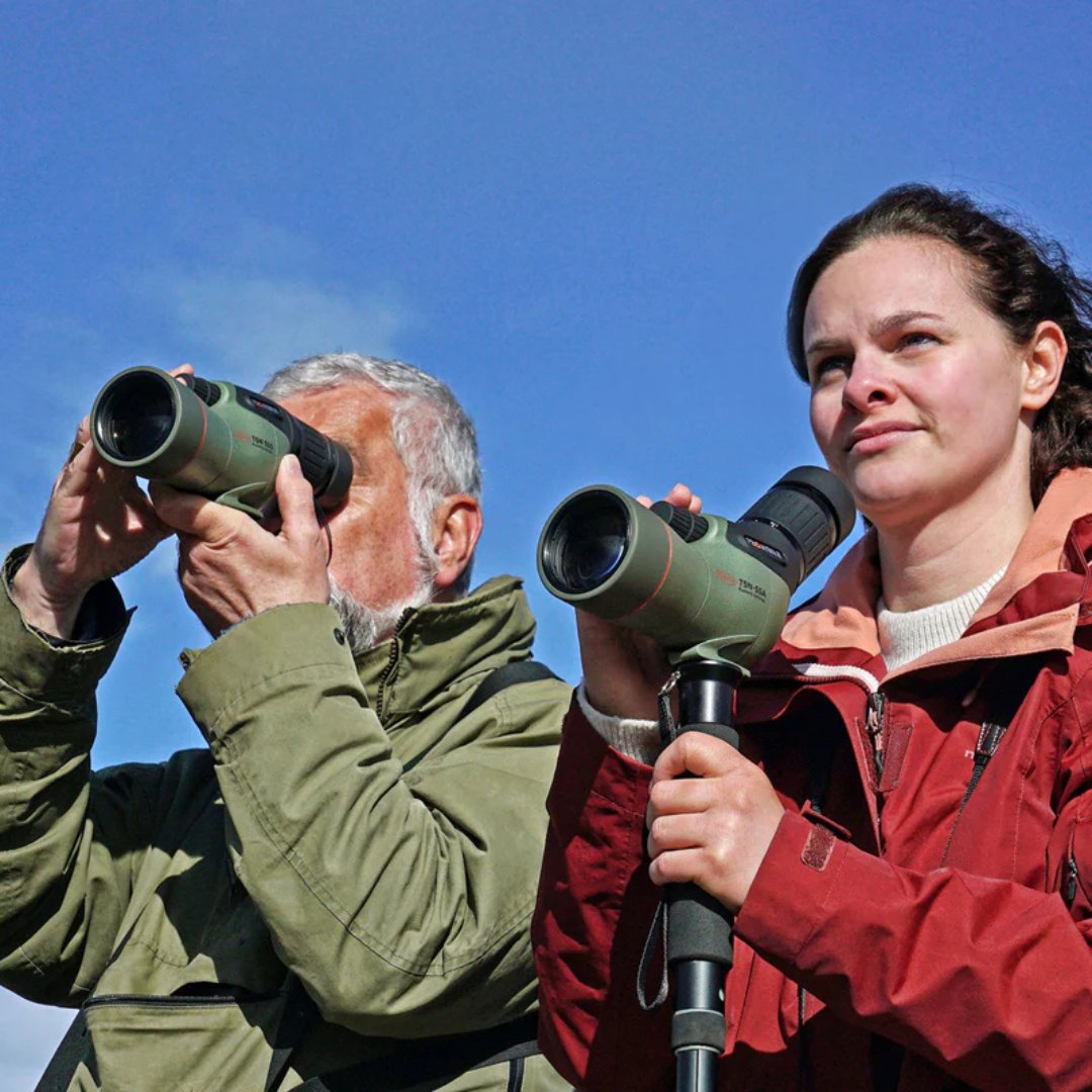 swoptics's tweet image. Kowa TSN-55S PROMINAR – With a 55mm fluorite crystal objective, this spotting scope delivers outstanding resolution and contrast while remaining lightweight and travel-friendly. 

👉 shorturl.at/FuyOg

#KowaProminar #SpottingScope #BirdWatching #NatureObservation